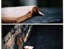 literatue