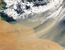 Homokvihar_Terra_2004_11_12_1253