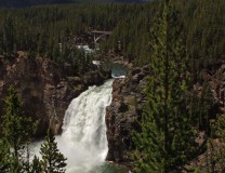 Yellowstone1_20040619_bg