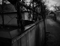 IMG_1671-2