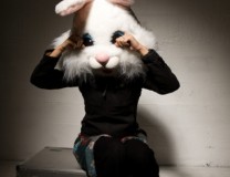 bunny